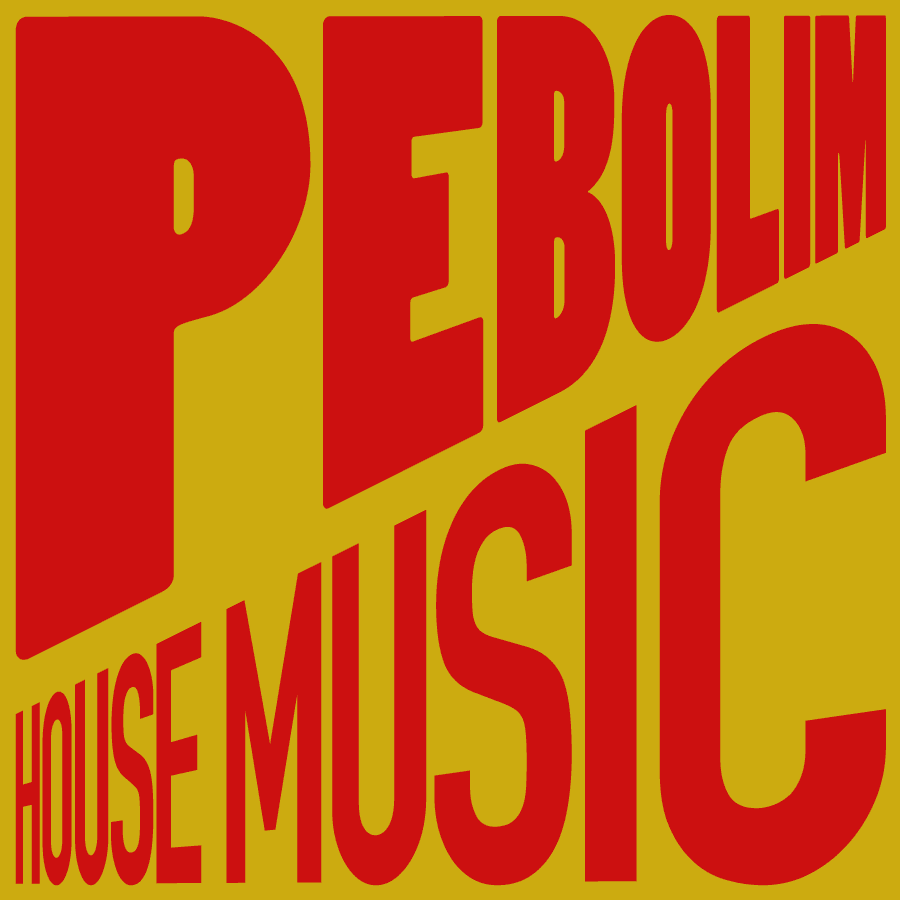 Imagem de capa com o logo do Pebolim House Music